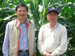 農委會陳保基主委(右)視查本場硬質玉米試驗田區