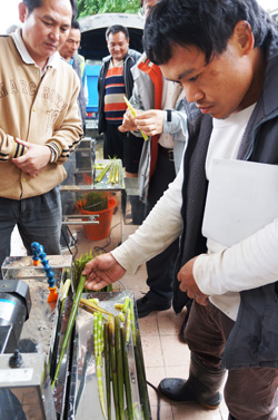 觀摩會現場，民眾試用箭竹筍剝殼機