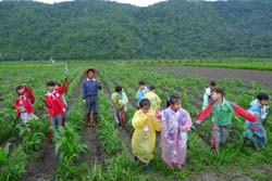 平和國小小朋友悠遊於鯉魚山下的教室
