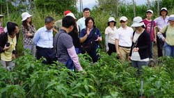 ◎黃鵬場長(左二)率本場研究同仁了解農場需求