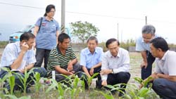 農委會陳文德副主委(右三)訪視鳳林徐明堂農友硬質玉米試驗田區