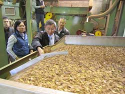 本場黃鵬場長至苗栗三灣金椿茶油工坊，參訪油茶茶園、賣場，以及加工製程