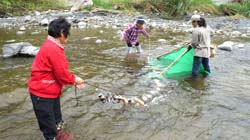 豐南村阿美族傳統捕魚體驗