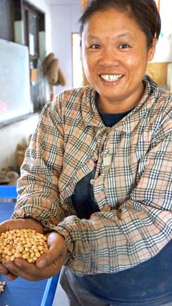 本場推廣有機大豆，輔導有機村、原住民部落栽培技術