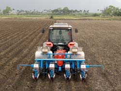 硬質玉米高度機械化，可機械播種及收割，播種時可同時施基肥及地下害蟲藥