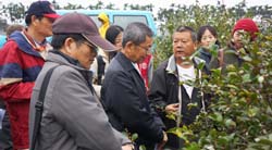 本場拜訪油茶試驗點及示範區，包括新植或將栽種之農友，本場黃鵬場長(左三)表示將持續油茶試驗，期能提供產量及品質