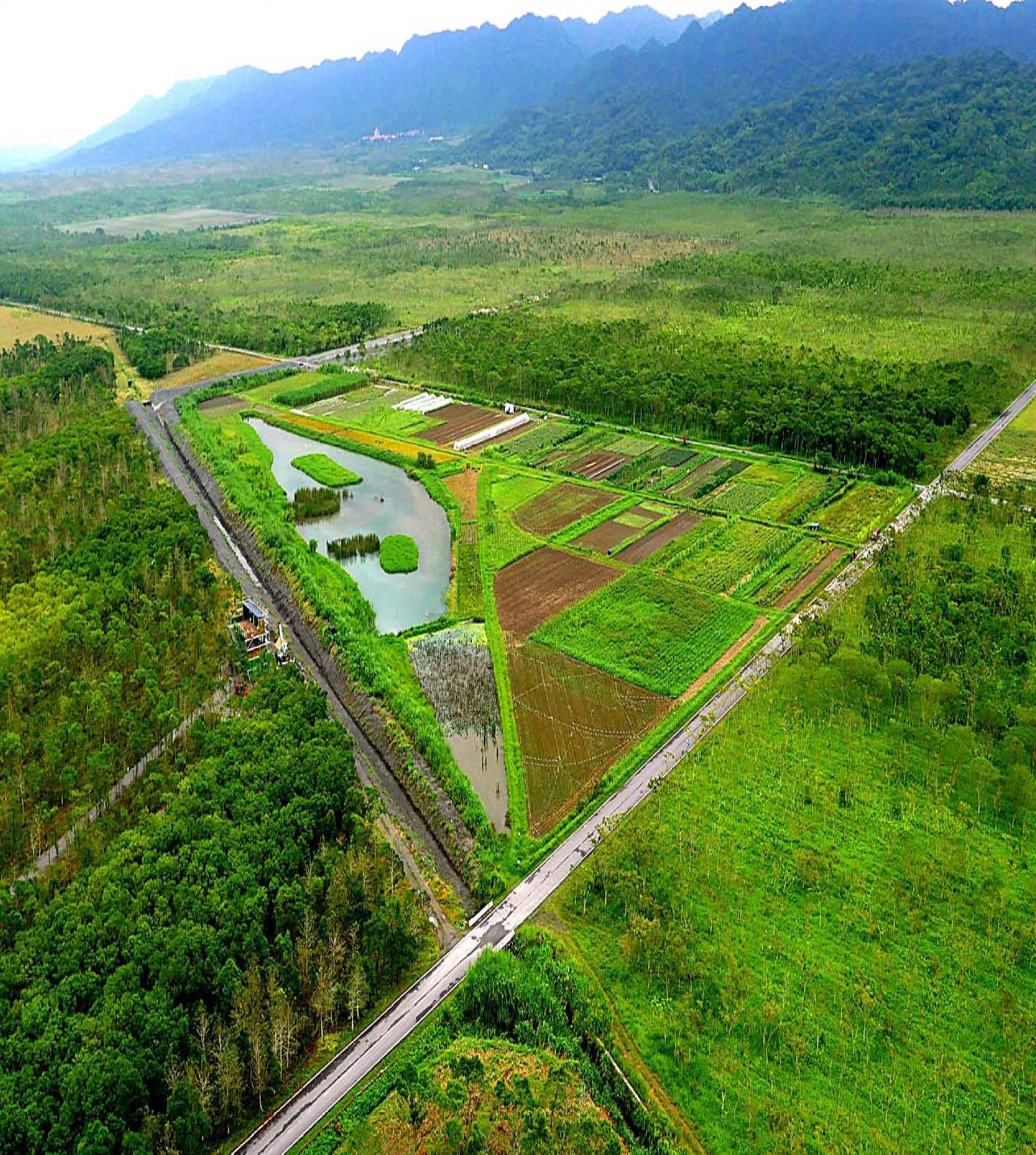 樹林包圍天然環境良好的富興LiPaHak有機生態農場，水生池的存在增加農場生物多樣性並調節農場氣候，並且農田與扶桑花綠籬無限延伸，成為有益昆蟲良好的棲所，農友穿梭作物間工作，構成一幅人、植物和動物三方共生的和諧畫面