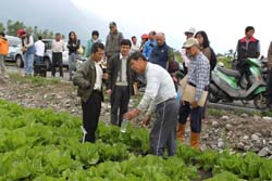 農友張明得為參觀農友示範施用微生物菌