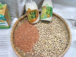 本場研發養生發芽玄米飲品，風味獨特、口感佳