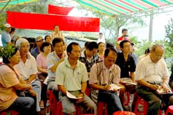 金絲桃切花栽培示範推廣觀摩會會場