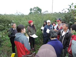 本場黃鵬場長率領油茶相關研究同仁，至產區關切農戶