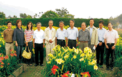 本場培育　萱草新品種　花蓮2號、花蓮3號、花蓮4號、花蓮5號　命名通過