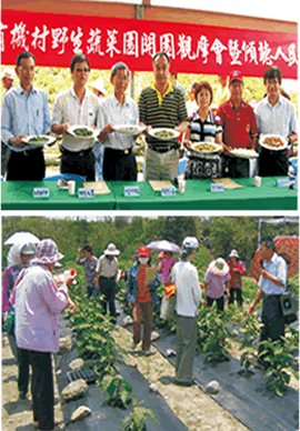 本場於羅山村舉辦野生蔬菜開園觀摩會，農民現場參觀野菜園並提出相關問題
