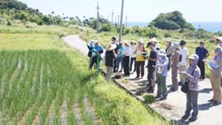 本場試驗研究以農民為本,並積極輔導農民、促進農產業發展 本場試驗研究以農民為本,並積極輔導農民、促進農產業發展