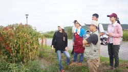 本場與吳雪月(左二)共同復興原民阿美族之傳統野菜文化,提供野菜種原以及協助相關栽培技術 本場與吳雪月(左二)共同復興原民阿美族之傳統野菜文化,提供野菜種原以及協助相關栽培技術