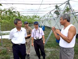 8月7日風雨稍歇，本場黃鵬場長率研究人員親赴農場訪查受災情形