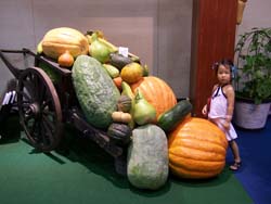 大型南瓜永遠是裝置藝術中的聚焦元素