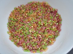 Colored rice produced by applying colors extracted from natural fruits and vegetables to the surface of white rice.