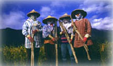 長型山藥塊莖可長達80-90公分，甚至1公尺，採收後需加以適當處理以利儲運