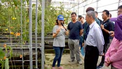 台中農改場研發的設施栽培頗具農業4.0概念