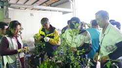 有機農業初階班的學員們，進行果樹嫁接實習訓練