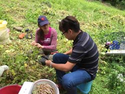 南安部落布農族擅長種豆，形成特殊的布農飲食文化，本場特地前去蒐集種原進行分析研究