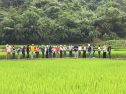 本場生態農業技術發展及農業環境措施之試驗研究第1次工作會議，邀請委員至試驗田區參訪指正