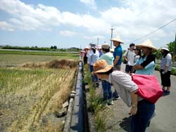 計畫團隊包括農委會科技處及國際處、農田水利處、台灣大學、東華大學、國際灌溉排水協會、台灣農業科技資源運籌管理學會、苗栗改良場等，至宜蘭行健村參訪試驗樣區