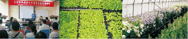 節能減碳新技術　洋桔梗深層海水冷源育苗技術觀摩會