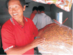 安全金針李德發