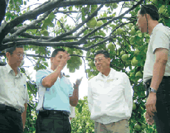 農委會視察花蓮颱風農業災情