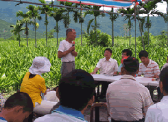 大豐地區保健植物田間示範觀摩會