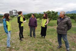 本場范美玲場長（左二）偕場內輔導同仁拜訪員山鄉果樹產銷班湯榮賢農友，關心其蓮霧果園防寒情形（拍攝地點於三星鄉）