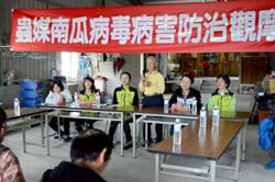 示範農友黃興生說明種植白花三葉草後，蟲媒南瓜病毒病罹病率大減