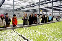本場實地參觀水耕農場之設備以及生產情形