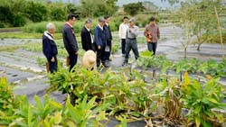 慈濟大學教師社群來場交流中草藥事宜，並參觀場內原民植物及中草藥園區