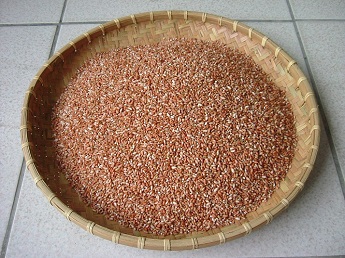The brown rice of‘Hualien No. 22’is bright red in color