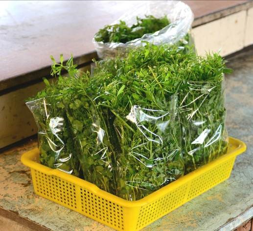 細葉碎米薺在原住民野菜市集裡販售的樣子